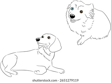 Black White Cat Dog Figure Drawing