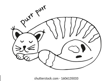 Black and white cat in doodle style isolated on white background. Vector stock illustration. Hand drawing line art image.