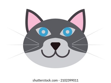 Cara de gato blanco y negro con fondo blanco.