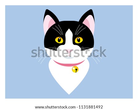 Black and white cat. Feline head - yellow eyes, ears, pink nose, long whiskers. Cat`s face, Front view. Stylized vector illustration. Isolated