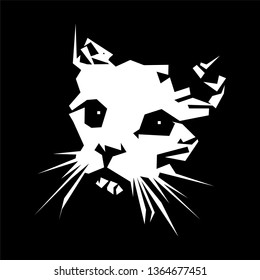 black and white cat head