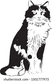 Black and white cat illustration 