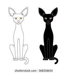 Black and white cat isolated on a white background.