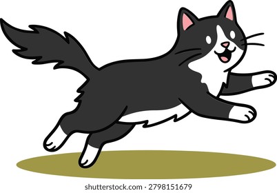 Black and white cat leaping forward with paws outstretched
