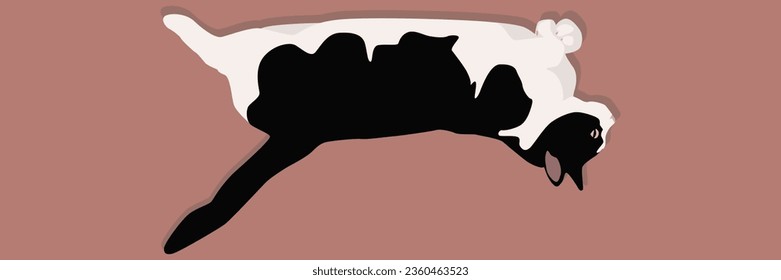 A black and white cat lies resting. Cute domestic cat. Vector graphics. For print.