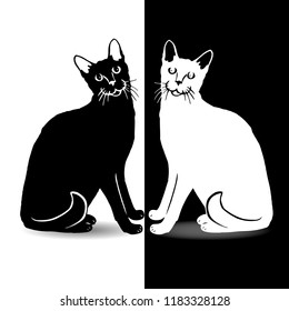 Black and white cat, on white and black background, vector