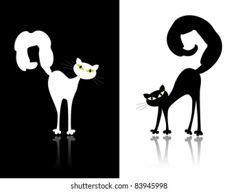 Black and white cat on black and white background