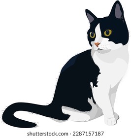 Black and white cat. Pet cat. Vector illustration.