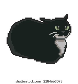 Black and white cat, pixel art meme