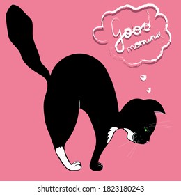 The black and white cat pulls himself up. Good morning lettering. Poster, postcard, icon. vector illustration
