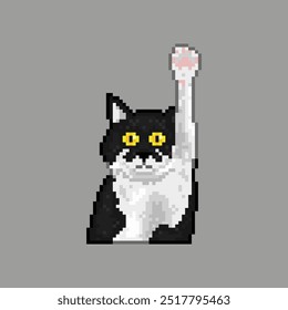 Pata de elevação de gato preto e branco, meme pixel art