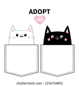 Black white cat set in the pocket. Adopt me. Flat design Vector illustration