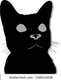 
Black and white cat, shadow, black cat