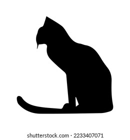 black and white cat silhouette  