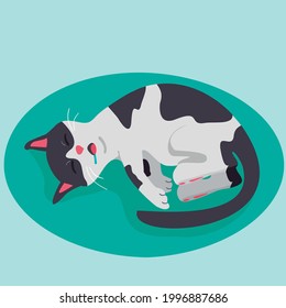 Gato blanco y negro durmiendo sobre una alfombra verde esmeralda.