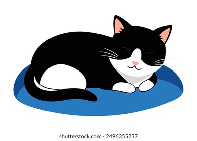 Gato blanco y negro durmiendo en la Ilustración vectorial de la almohada para el día del gato.