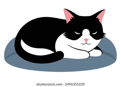 Black and White Cat Sleeping on Pillow Vector Illustration for Cat Day.