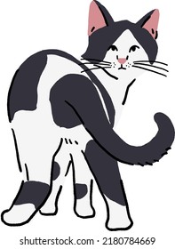 Black and white Cat turn back and looking Animal in action Hand drawn color illustration