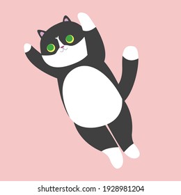 black and white cat. two-color kitten. the cat jumps. stock vector illustration with a pet.