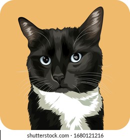 caricatura vectorial de gatos negros y blancos perfecta para los amantes de mascotas o los negocios de mascotas