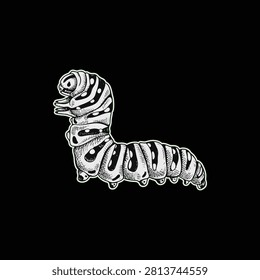 Black and white caterpillar illustration artwork