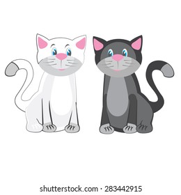 black and white cats