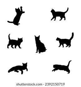 Black and white cats collection - vector silhouette