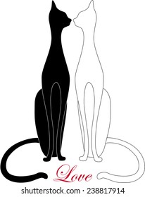 Black and white cats in love