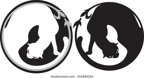 black and white cats, round design