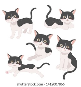 Black and white cats simple style set. Collection of cute pets. Vector illustrations isolated on white background.