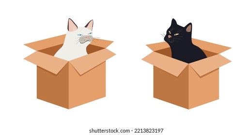 Black and white cats are sitting in cardboard boxes. Vector hand drawn illustration.