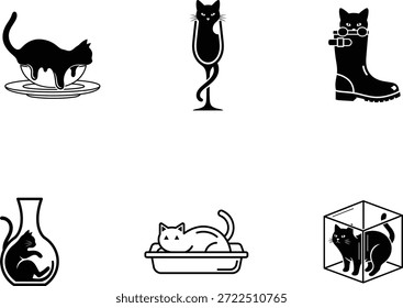 Gatos blancos y negros en varios objetos