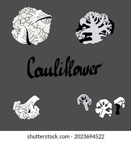 black and white Cauliflower collection botanical Isolated vector illustration. Organic vegetarian product. Cauliflower set applicable for restaurant menu or packaging, label, poster.hand drawn text