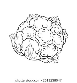 A black and white cauliflower illustration line art of a coloring page