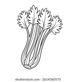 A black and white celery illustration line art of a coloring page
