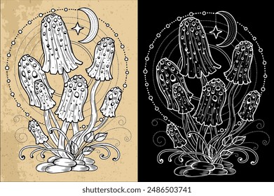 Black and white celestial mystic mushrooms with magic and floral decorative design elements, moon and stars, witchcraft symbols. Esoteric and witchy objects, tattoo concept, hand drawn clipart 