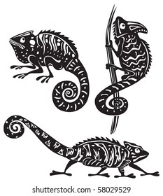 Black and white chameleon