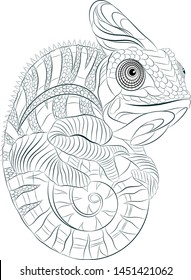 black and white chameleon fun for coloring