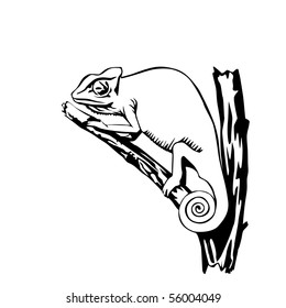 black and white chameleon vector illustration