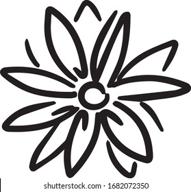 Black and white chamomile pictogram. An element for a website, poster, tattoo. illustration or postcard. Calligraphic logo. EPS 10. Sticker. Isolated outline. Coloring book set

