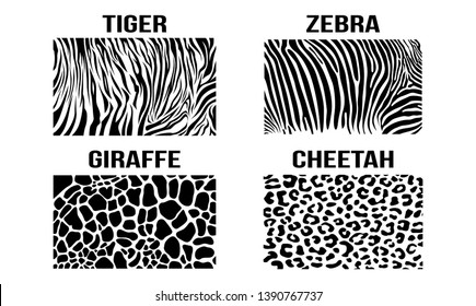 Black White Cheetah Giraffe Zebra Tiger Vector Skin Pattern Texture