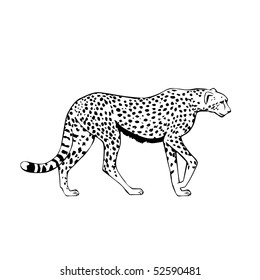 black and white cheetah vector illustration