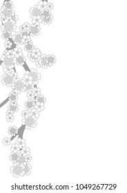 Black and white cherry blossom branch isolated on white. Outlines. Coloring book