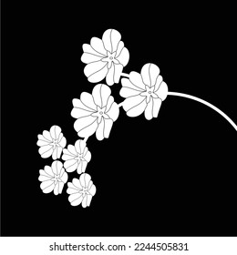 black and white cherry blossoms are simple and luxurious, suitable for use in all fields, especially those related to the plant world