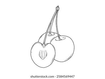 black and white cherry fruit vector