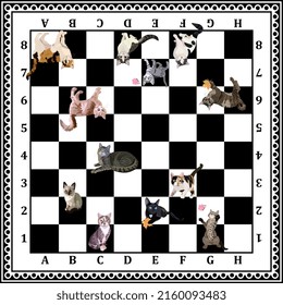 Black and white chess board with colorful domestic cats. Wonderful gift for a baby who is just learning to play chess. Symbols of the Chinese year of the cat, 2023.