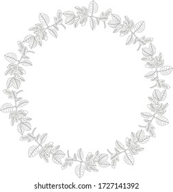 Black and white circle of leaves