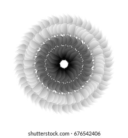 Black and white circular feather abstraction