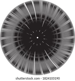 Black and white circular line icon round ornament, circled element for design. Black and white deisgn background shapes. Decoration in abstract. Template for web and brands.