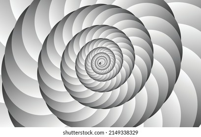 Black and white circular motion Fibonacci spiral conch shaped spiral vector illustration
